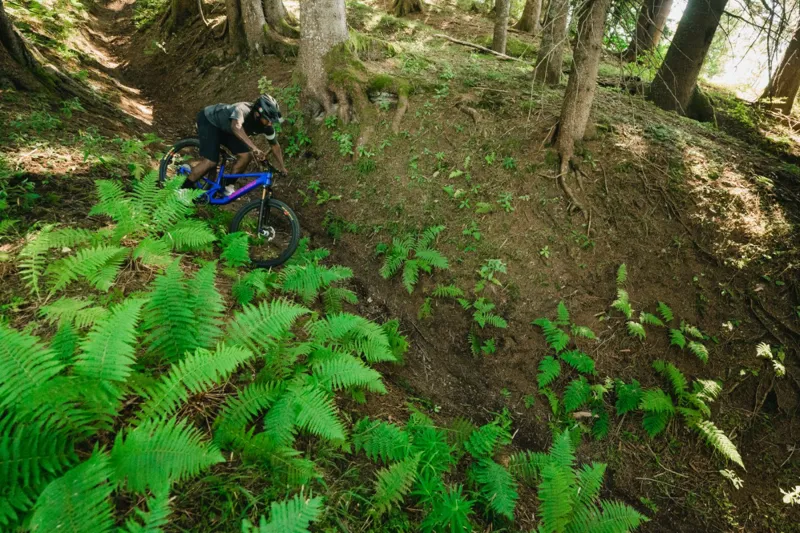 Santa Cruz Tallboy C S Mountain Bike 2023 Matte Taupe-12